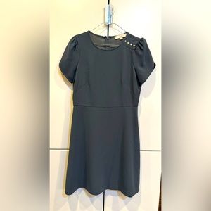 Ann Taylor Tulip Sleeve Dress size 4